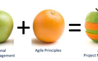 Agile Project Management changing Business
